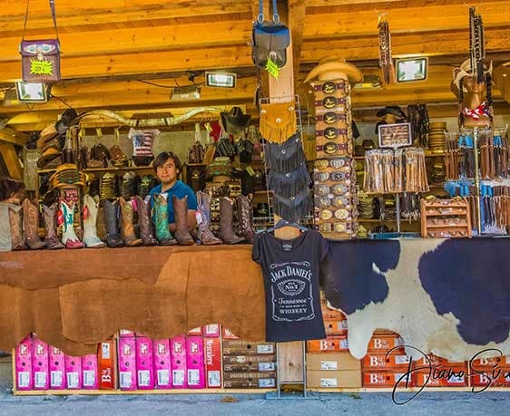 Bild ohne Beschreibung