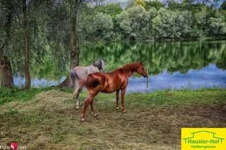 Bild ohne Beschreibung