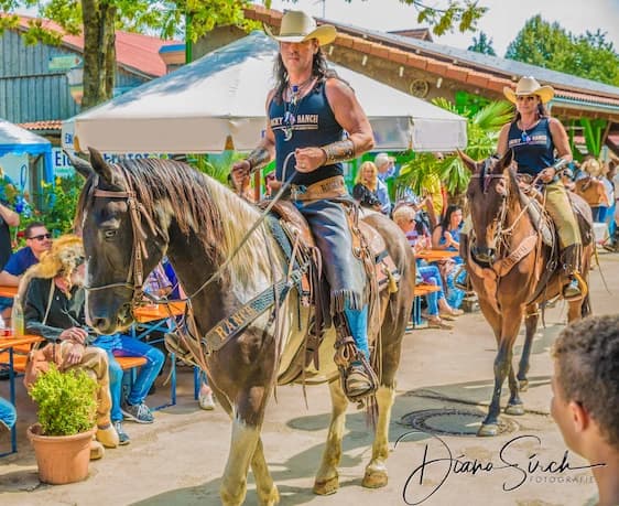 Bild ohne Beschreibung