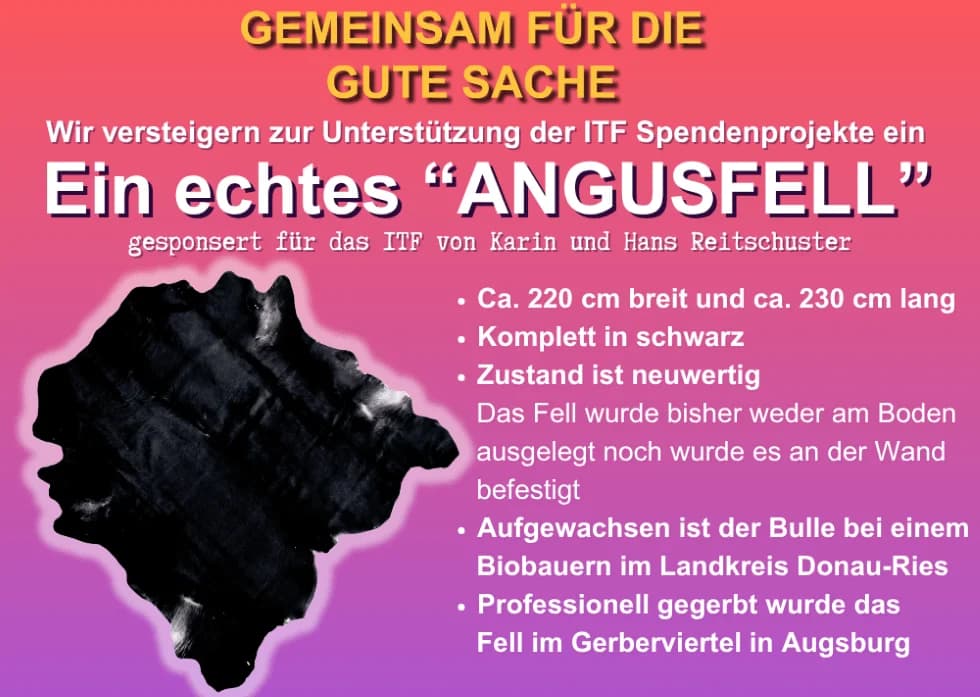 Angusfell Versteigerung 2025